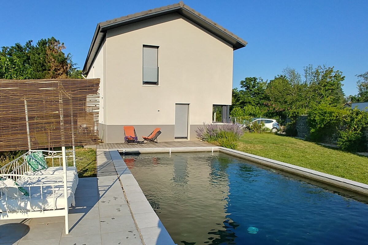 建筑风格房子，带大型私人游泳池