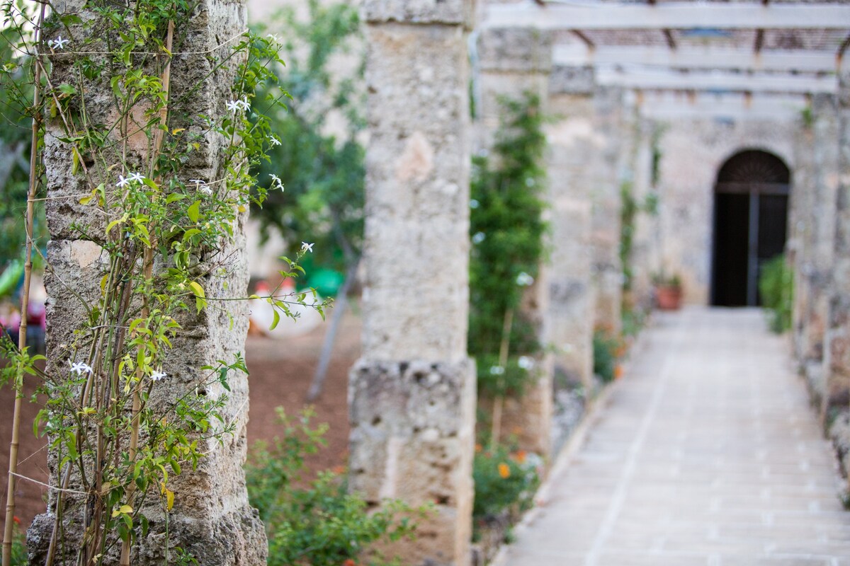 Corte degli Allori - Salento Gelso