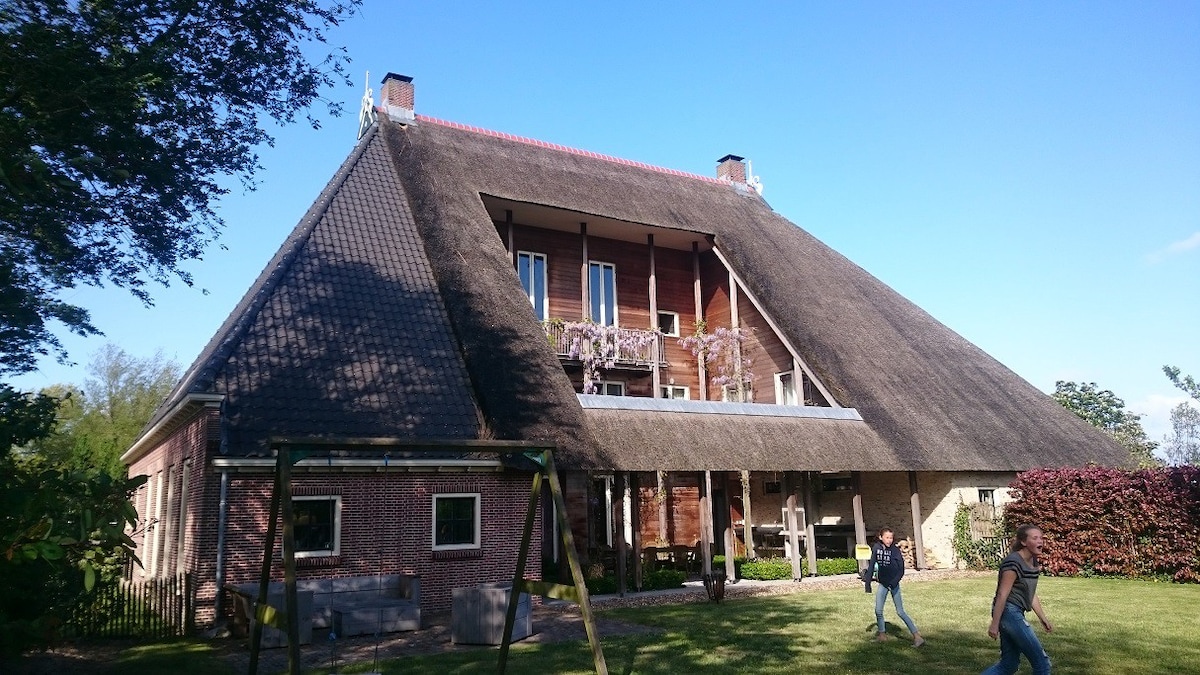 Friesland大气宽敞的农舍