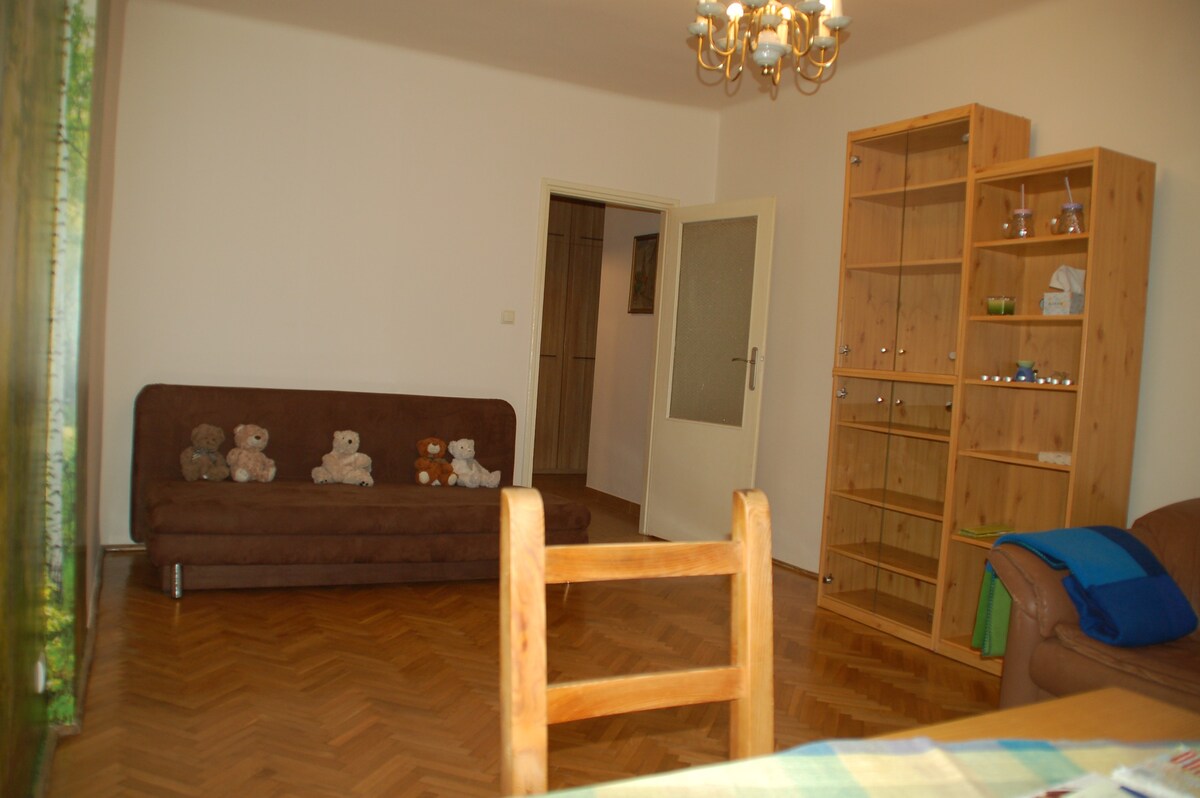 克拉科夫老城公寓安静区域24小时锁箱