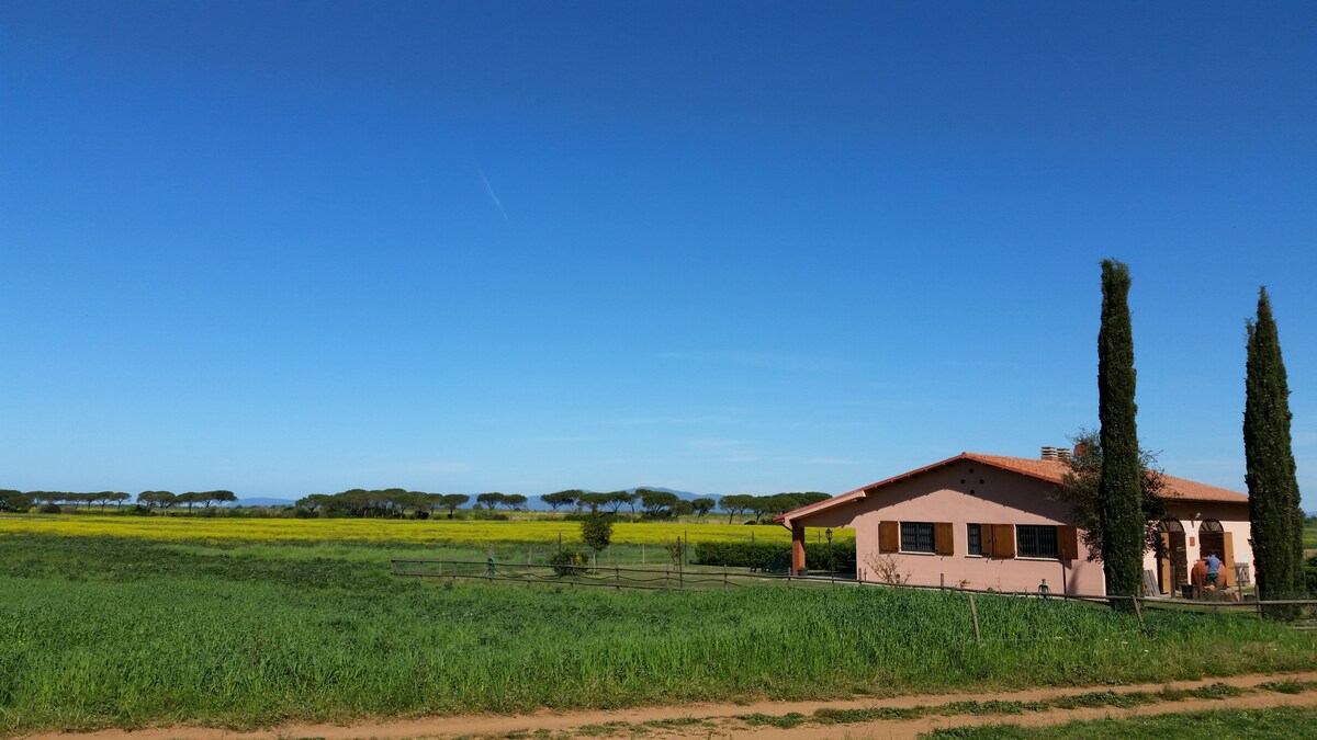 靠近大海的马伦玛公园（ Maremma Park ）小房子