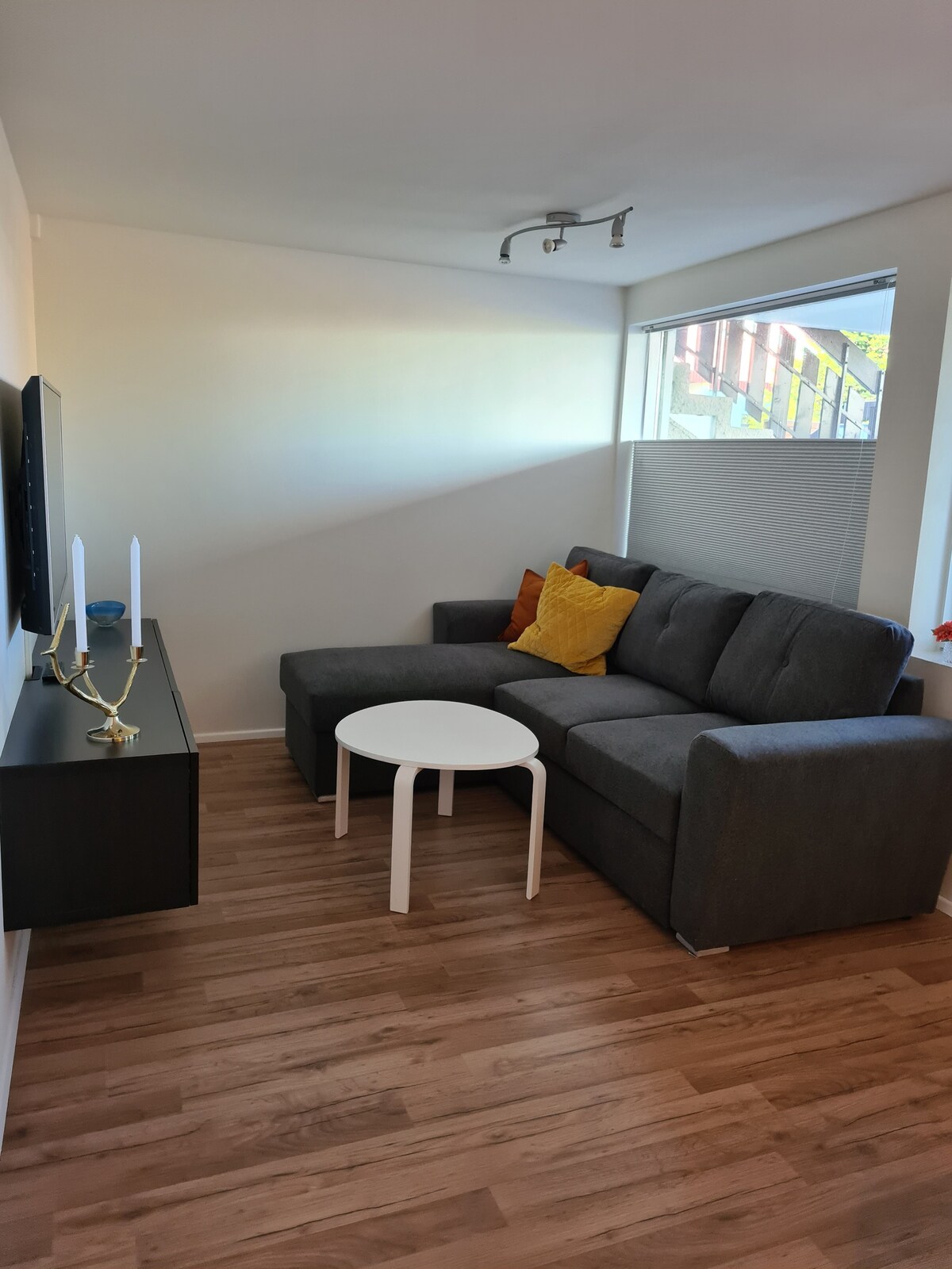 Nice newly renovated apartment in Reykjavik