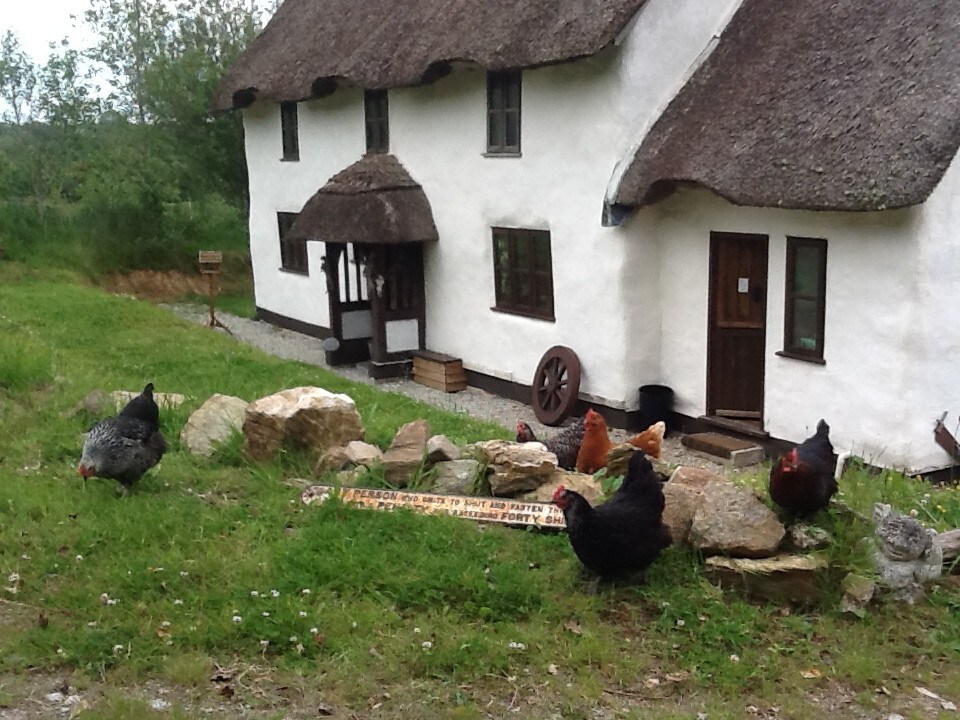 Cuckoo Farm Room With A View!