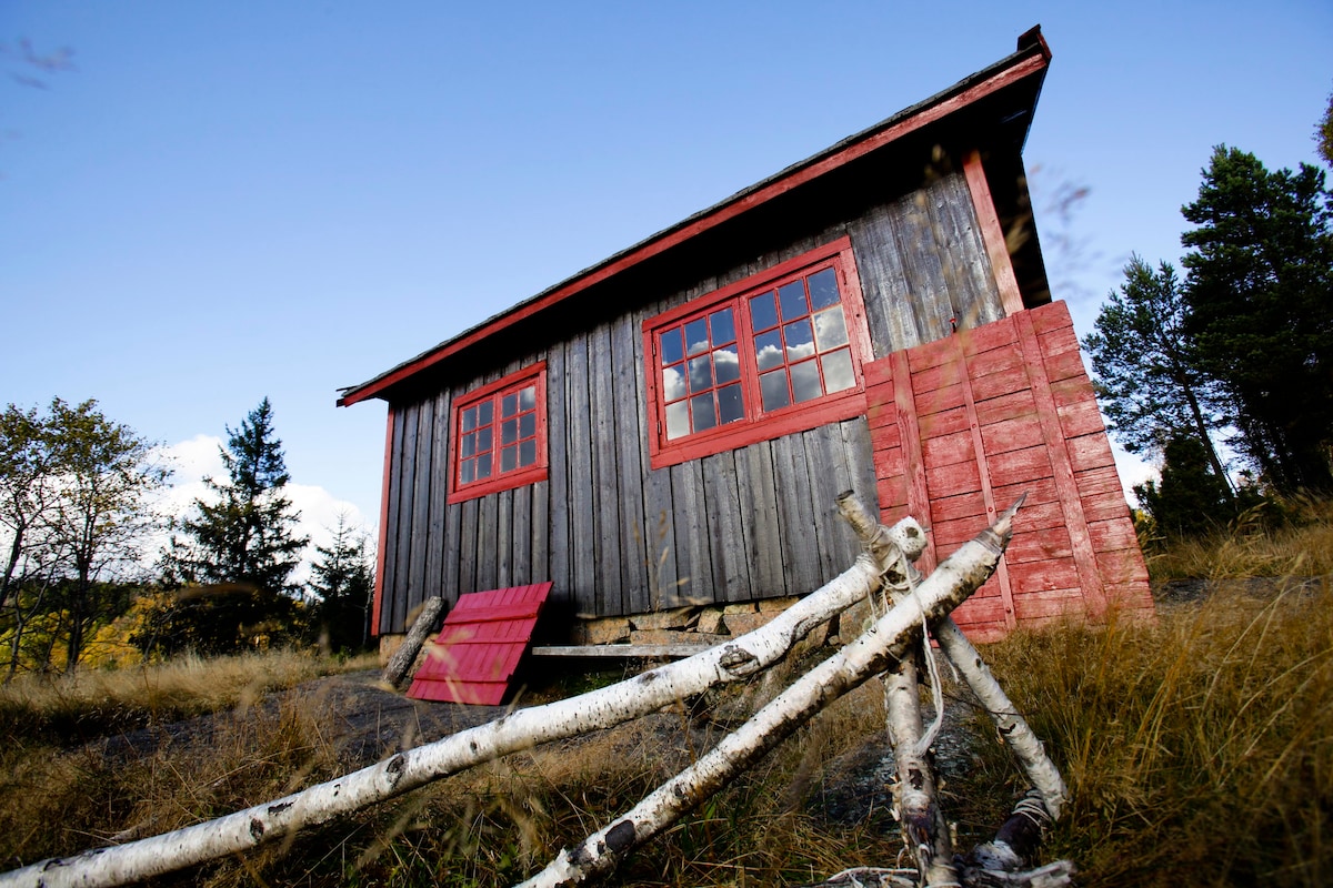 带挪威景观的小木屋（奥斯陆） # 1