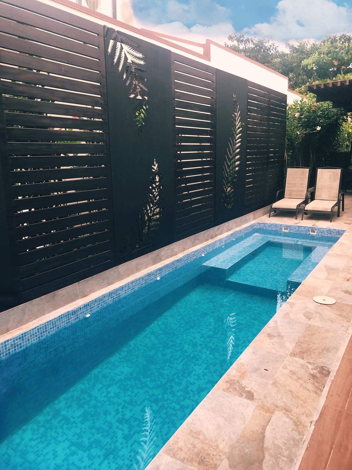 蓬塔莱奥纳（ Punta Leona ）带泳池的私人住宅