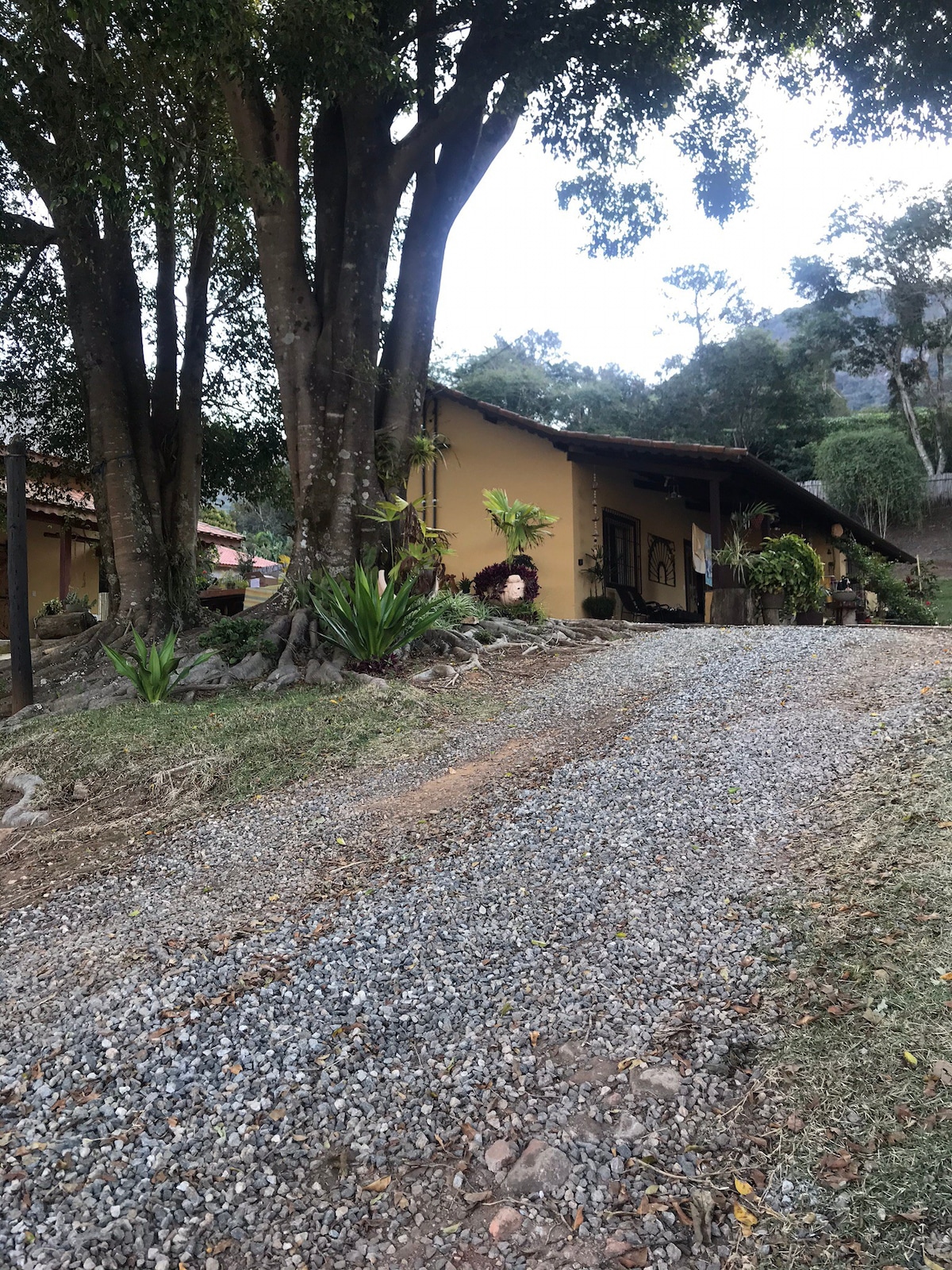 Fazenda Santa FElicidade No sul de MG