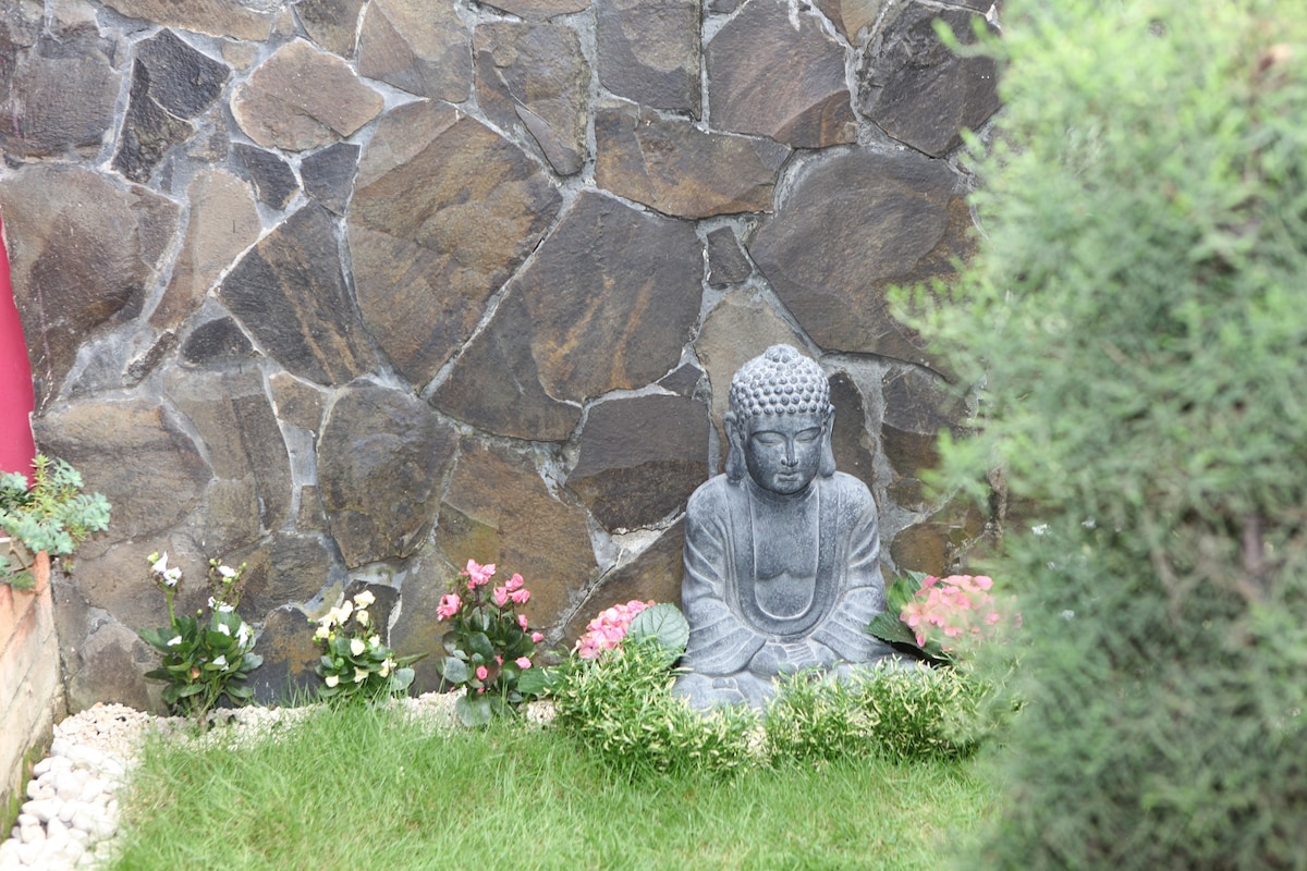 带内部花园的舒适祥和的公寓