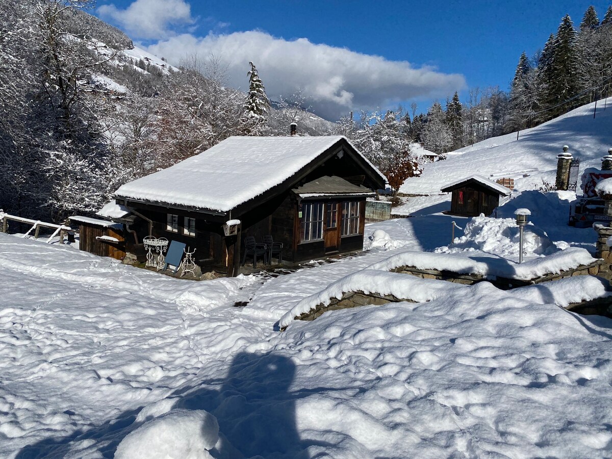 适合山地爱好者的正宗度假木屋，适合滑雪