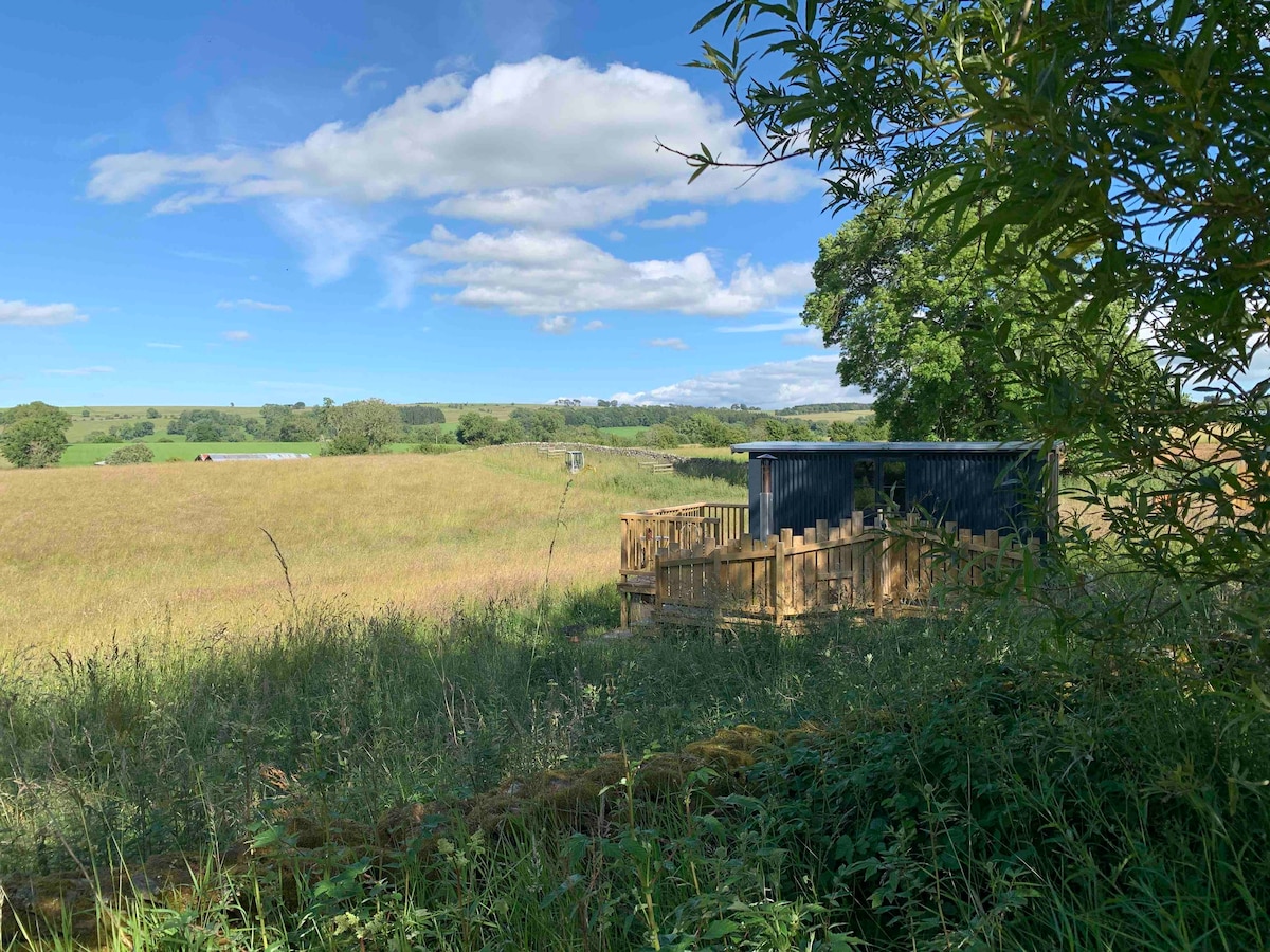 Tranquil Shepherd’s Hut +optional W F Hot Tub