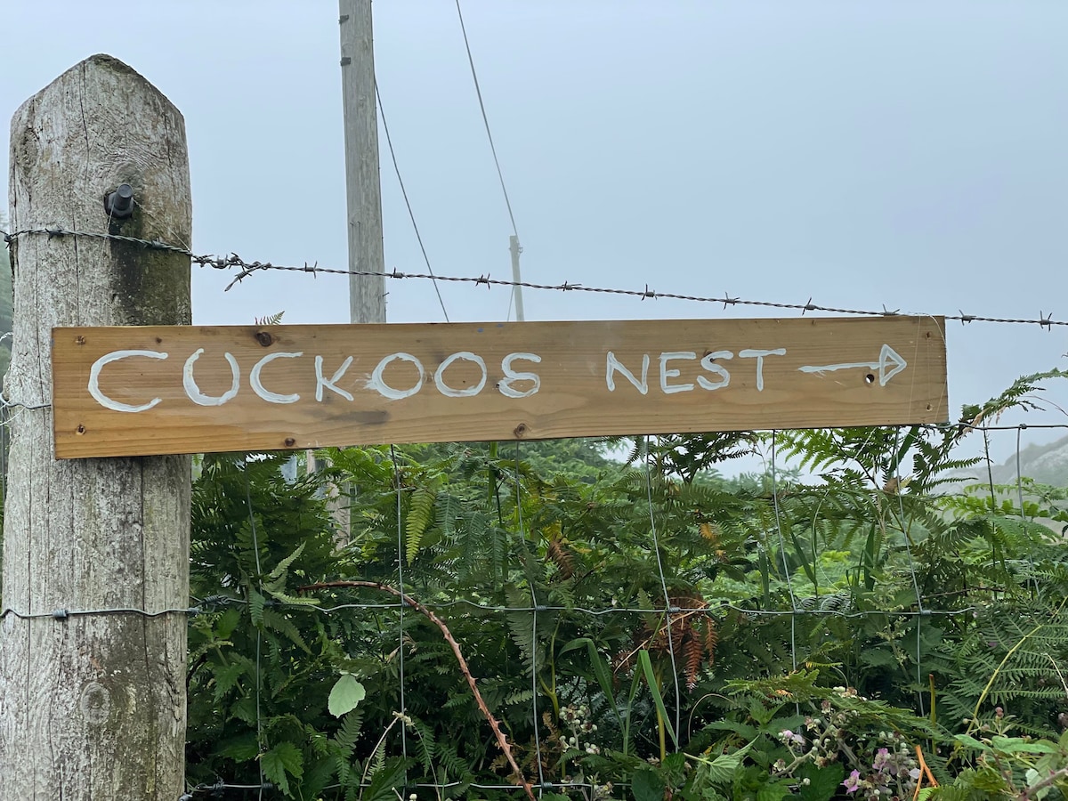 Cuckoo 's Nest