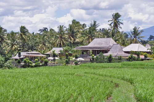 Gladak稻田Eco Lodge Tangguntiti