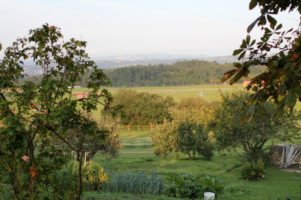 Gite de l'Elevage de la Mure