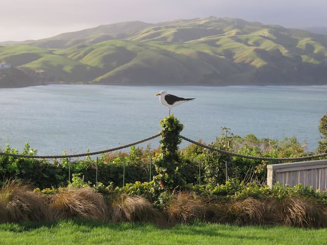 里鲁阿(Porirua)的民宿