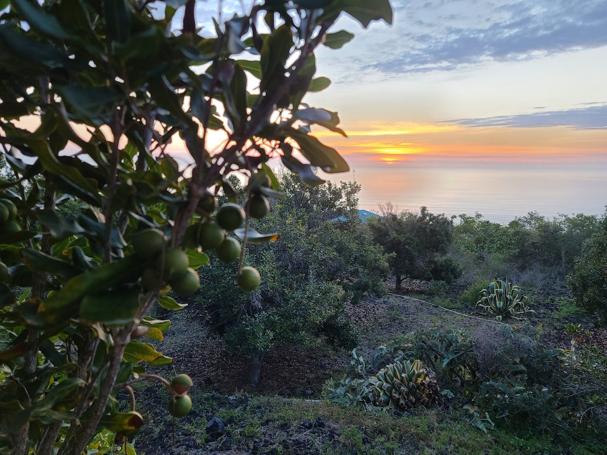 Dee's Farm/Off grid experience/Fabulous ocean view