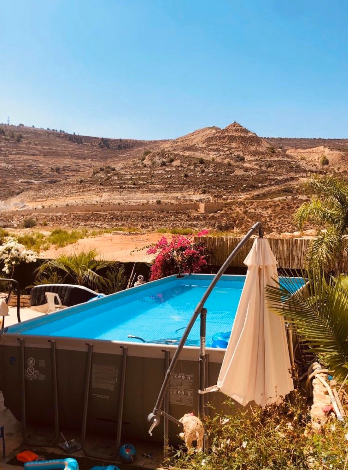 以色列别墅，带私人游泳池