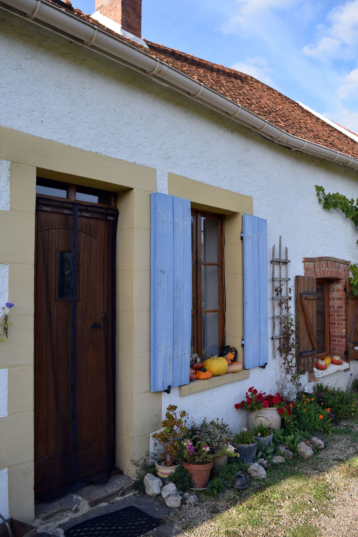 Stargazer cottage.