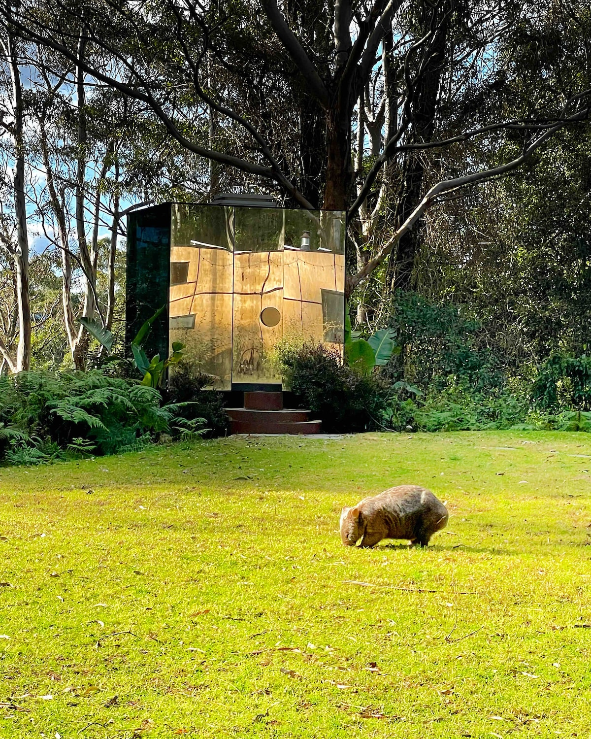 阿拉贝拉、生态小屋和屡获殊荣的玻璃浴室