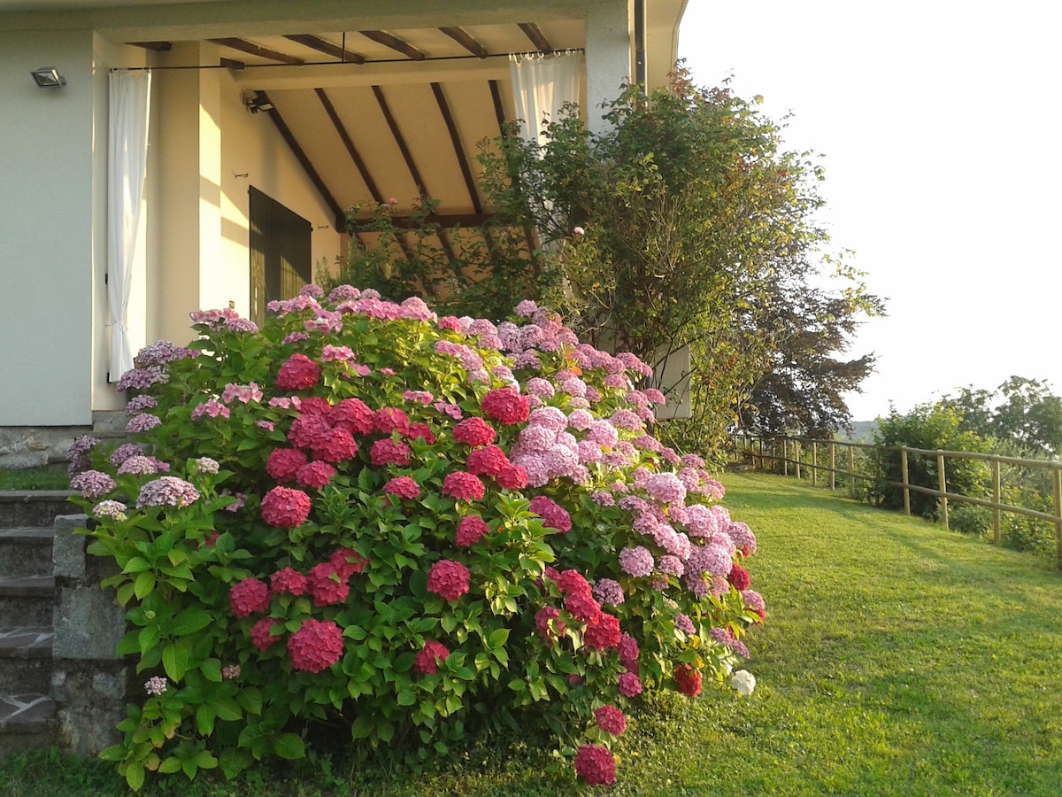 别墅，可欣赏蒙特伊索拉（ Monte Isola ） -伊塞奥湖（ Iseo