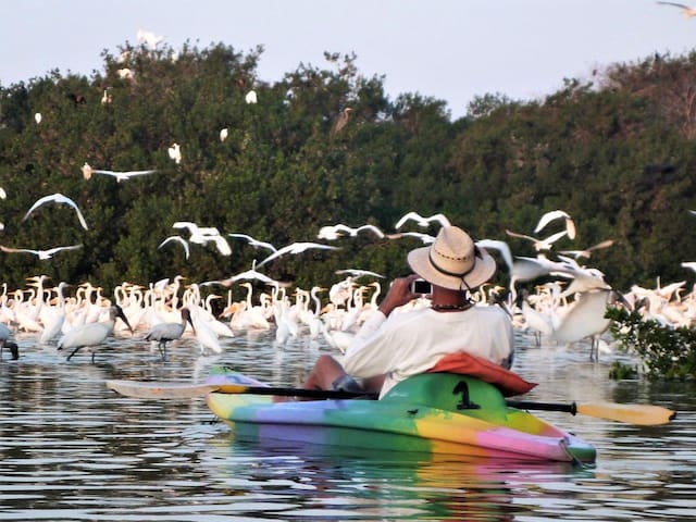 Barra de Potosí的民宿