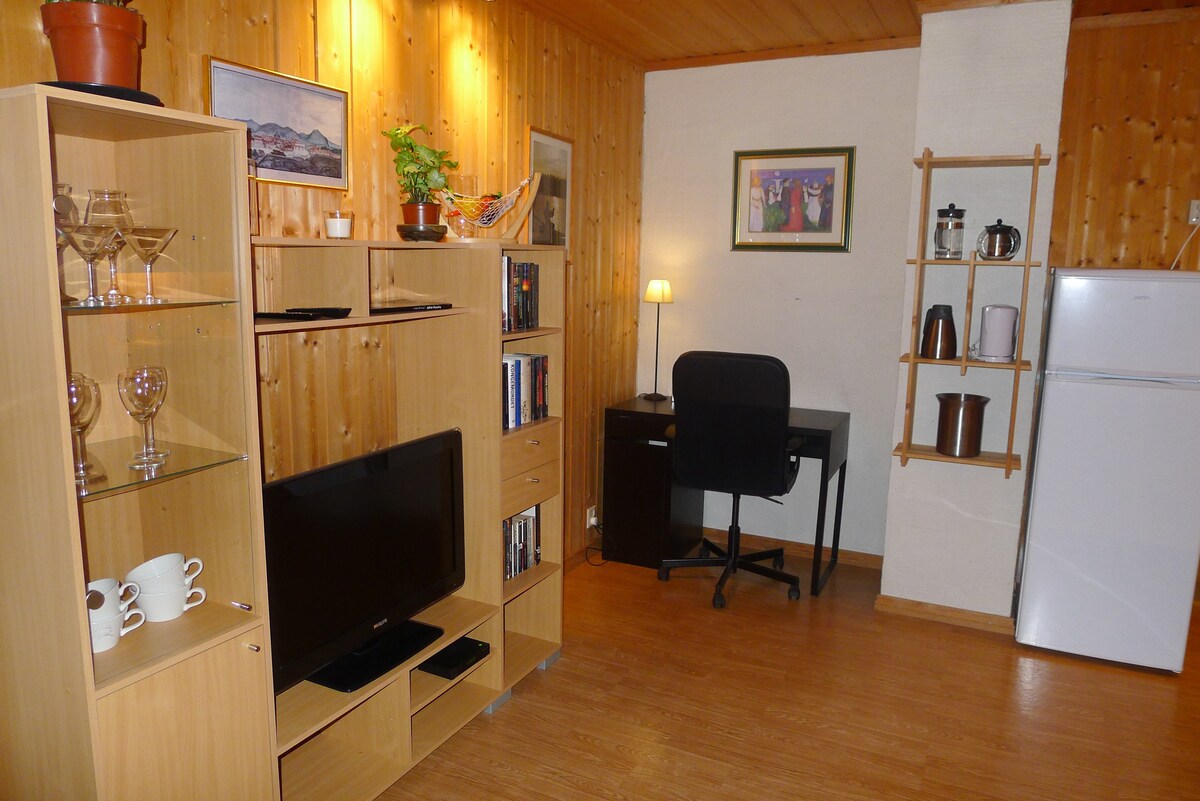 孔斯贝格（ Kongsberg ）市中心的舒适公寓！