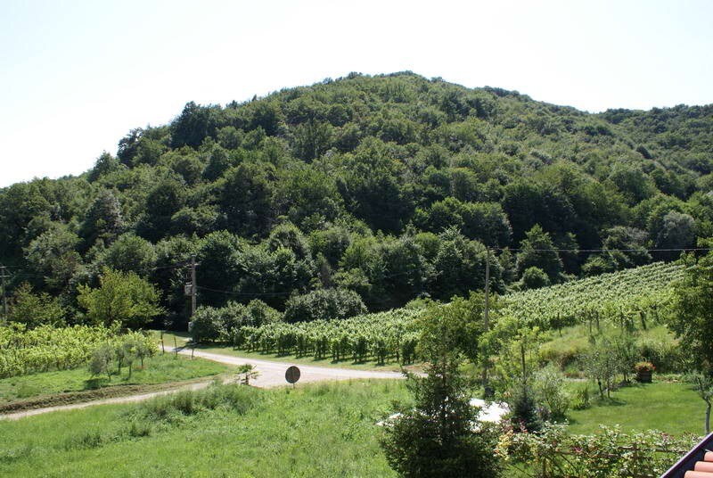 布尔达酒庄和别墅住宿-尼卡客房