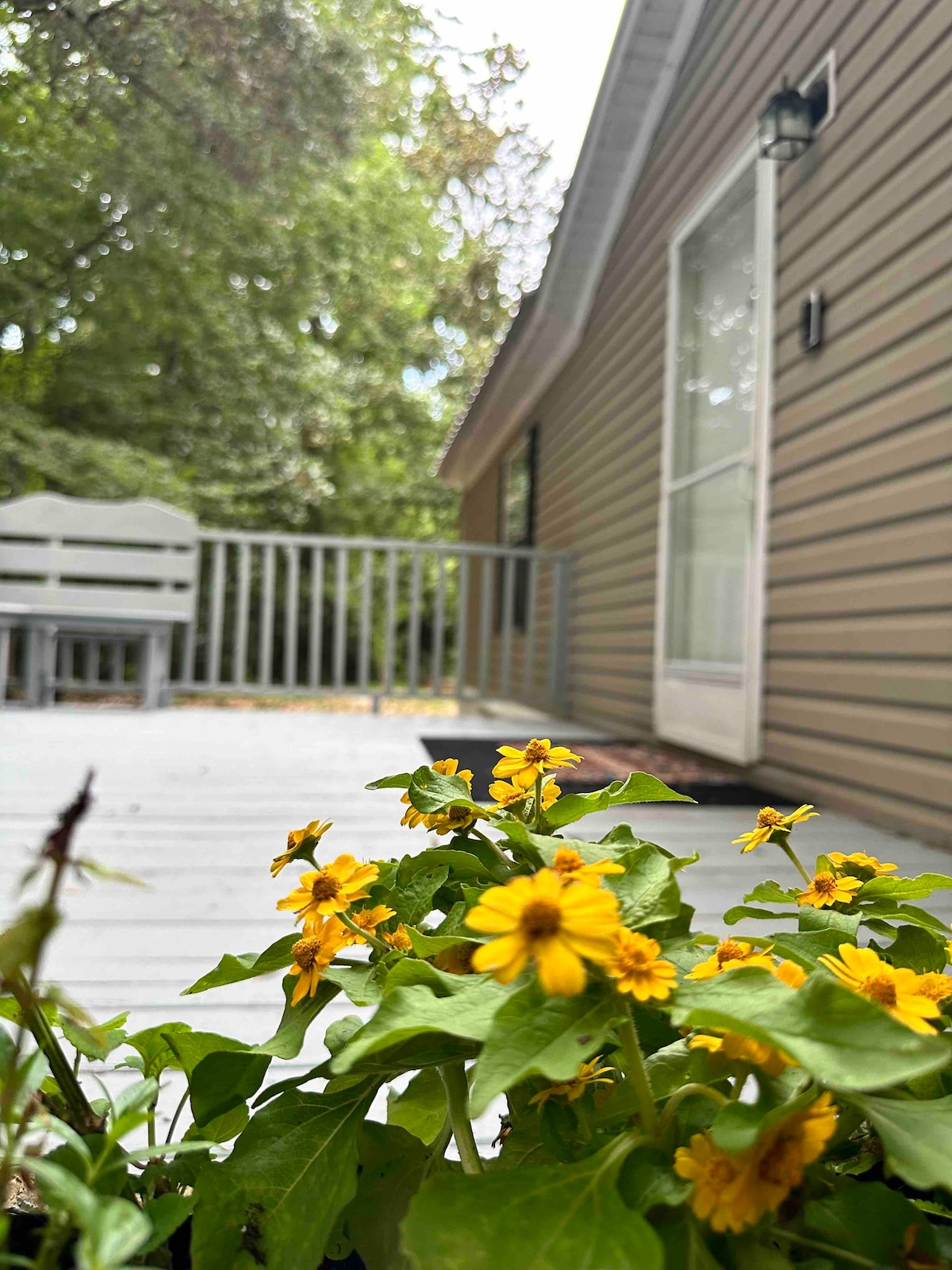 Three Rivers Crystal Cabin