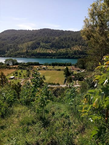 瓦尔迪维亚(Valdivia)的民宿