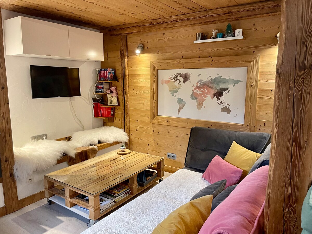 现代舒适的小度假木屋