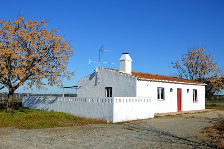 Alter do Chão- Portalegre 的民宿