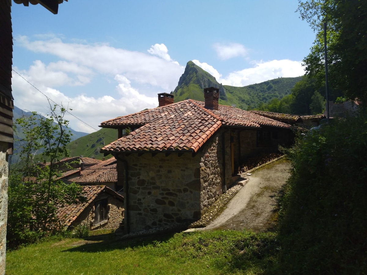 Escápate a nuestra casa con dos estufas de leña