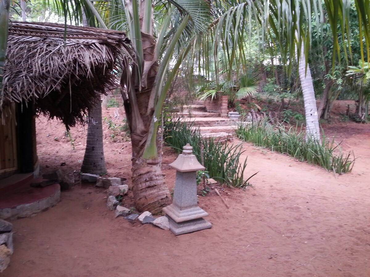 Bodhidharma花园、黄色房屋、Auroville海滩