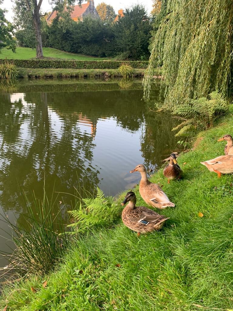 Nature et tranquillité!