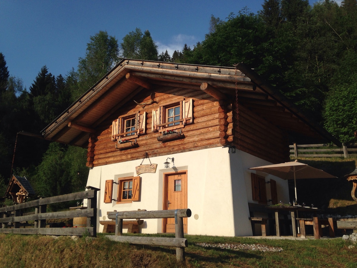 Cabin of Nonno dei Pitoi Trentino022011-AT-050899