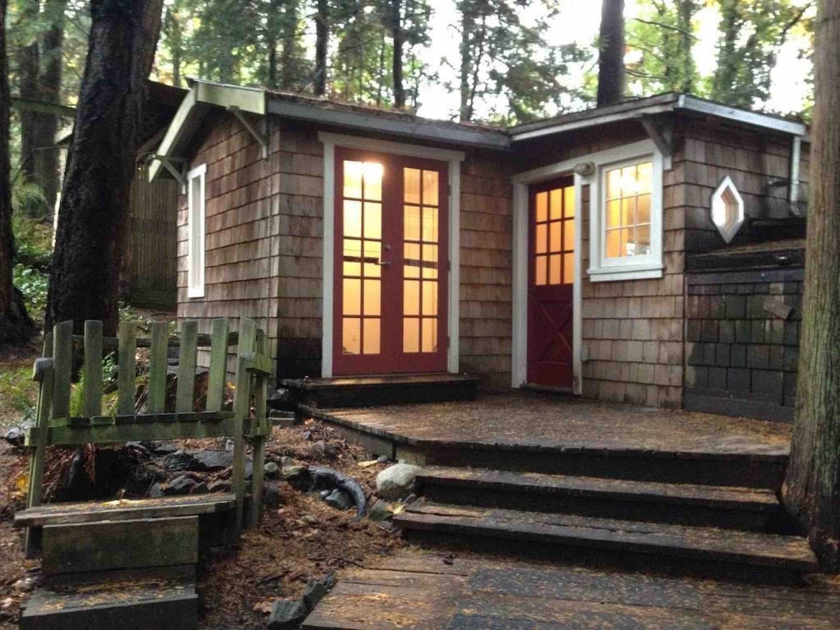 Oceanside Cottage In The Trees