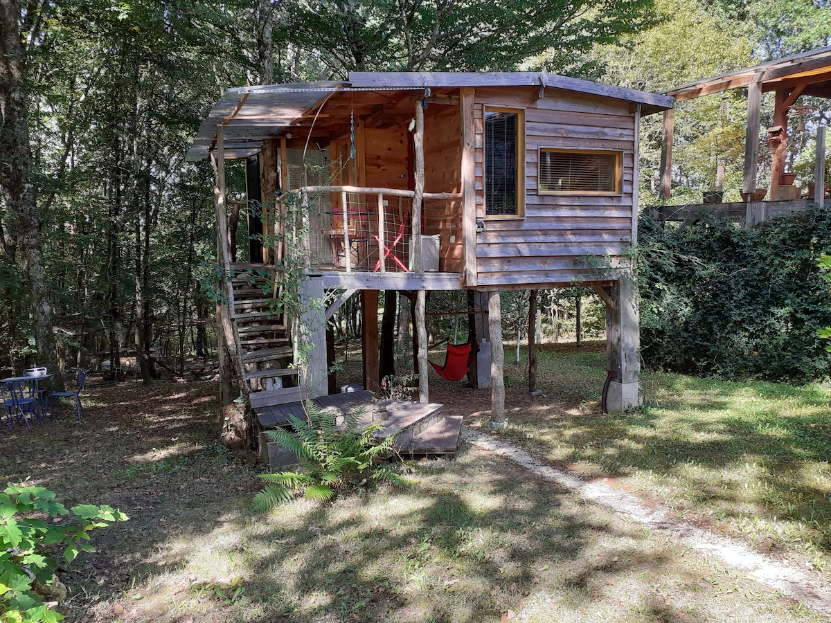 la cabane de l'oiseau