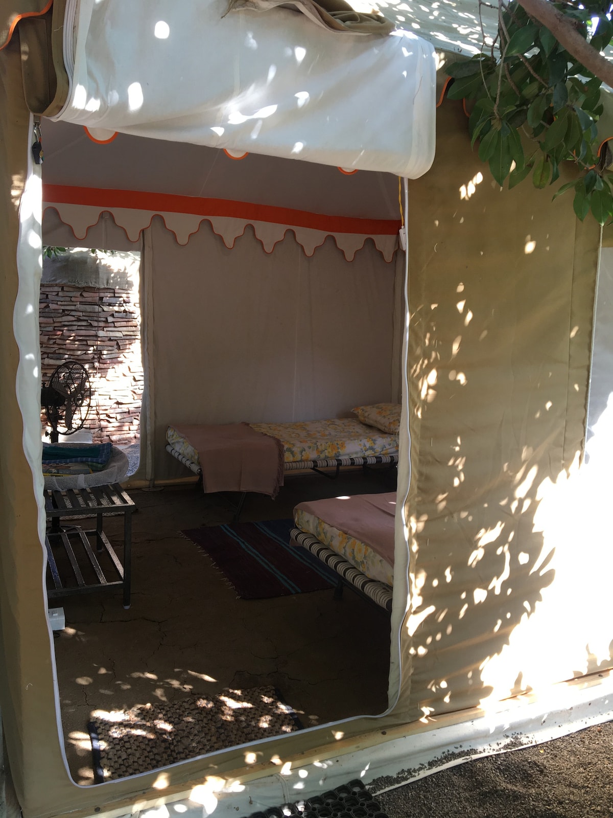 果园中的帐篷