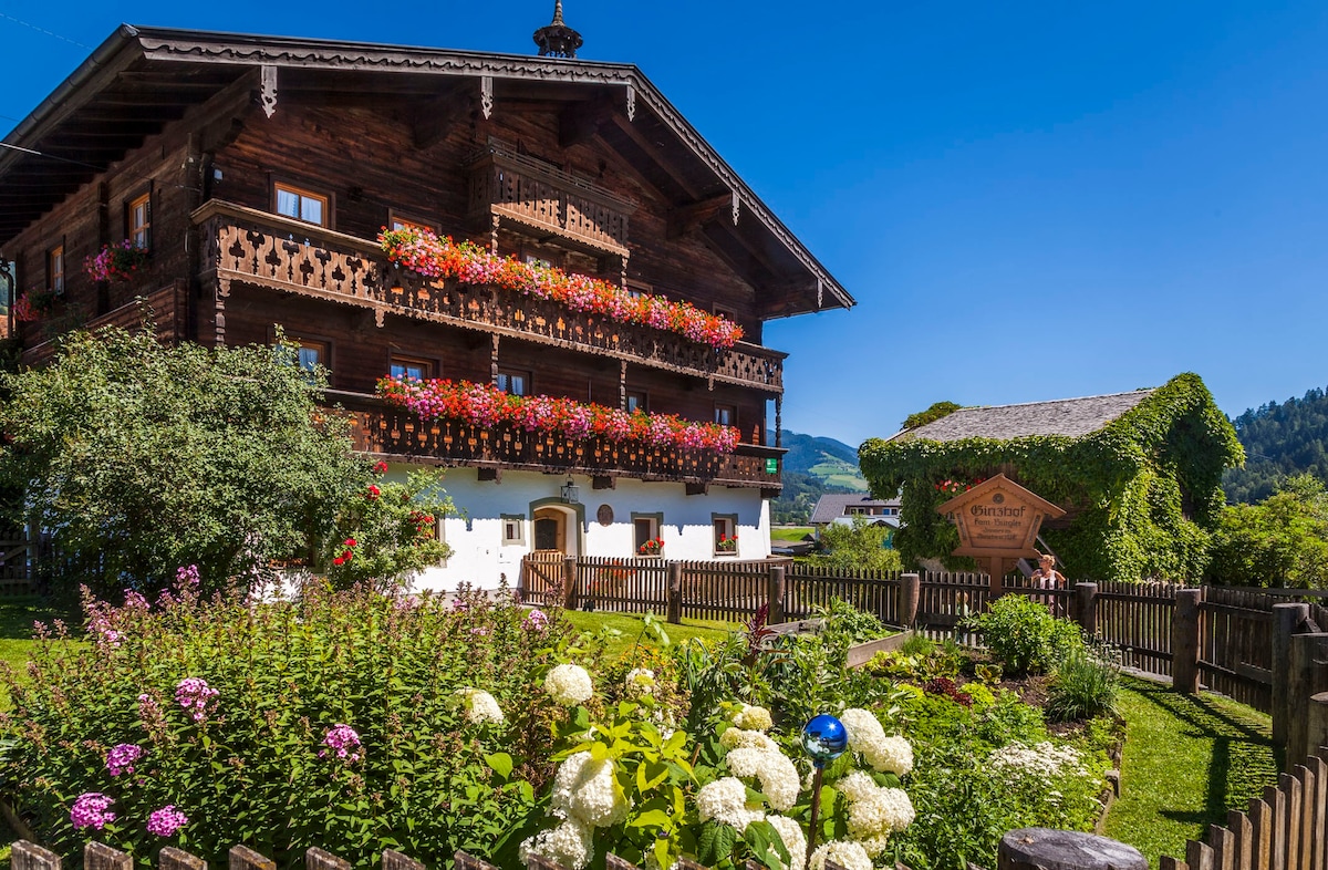 GINZHOF-公寓Großglockner