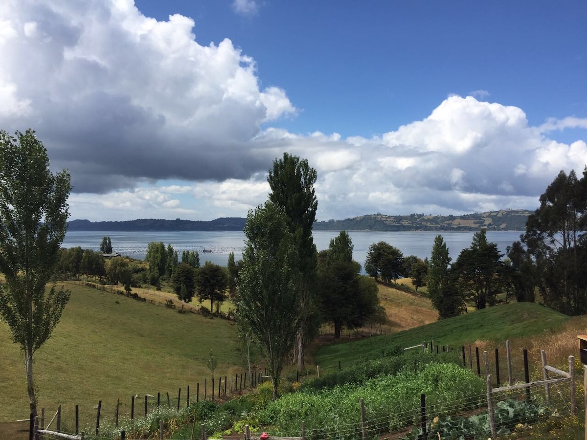 Relajo y naturaleza en Península de Rilán-Chiloe