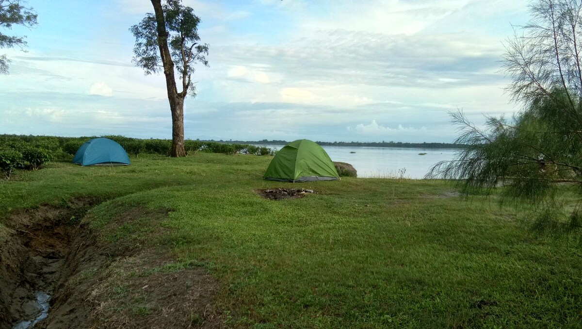 Eco camp near maguri beel.