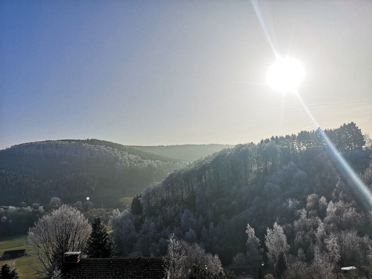 Chalet Wittgenstein