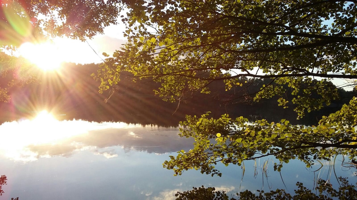 Kleinen Baalsee的早晨阳光浴