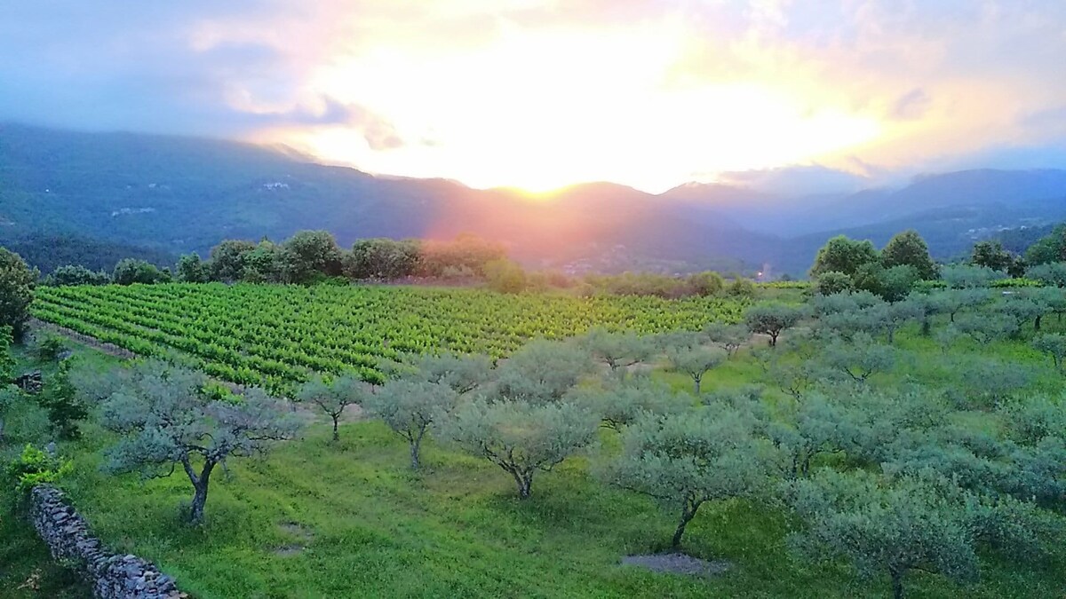 Domaine de la Jeanne : Gîte 4-6 personnes