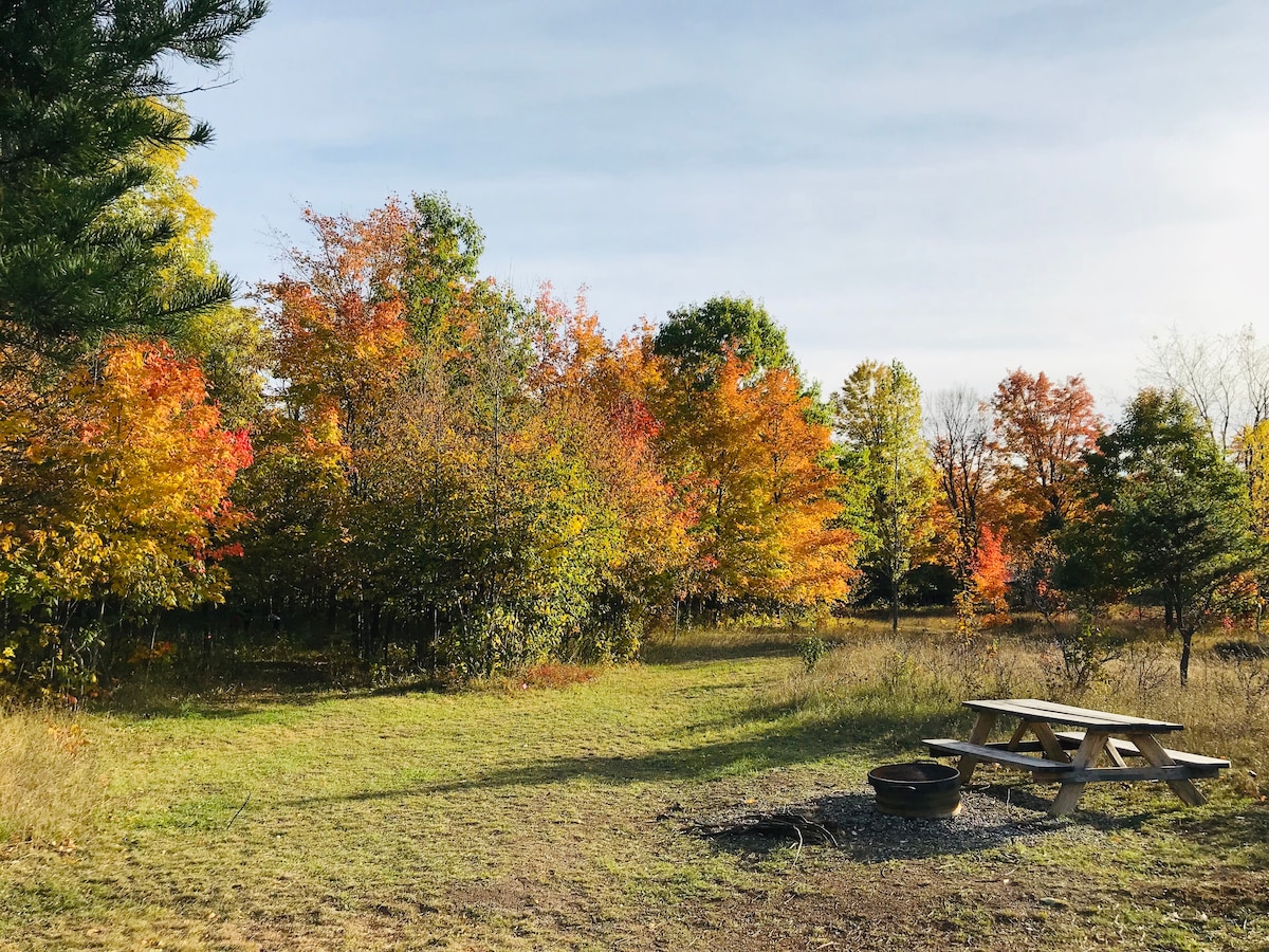 Pure Bliss Campsite