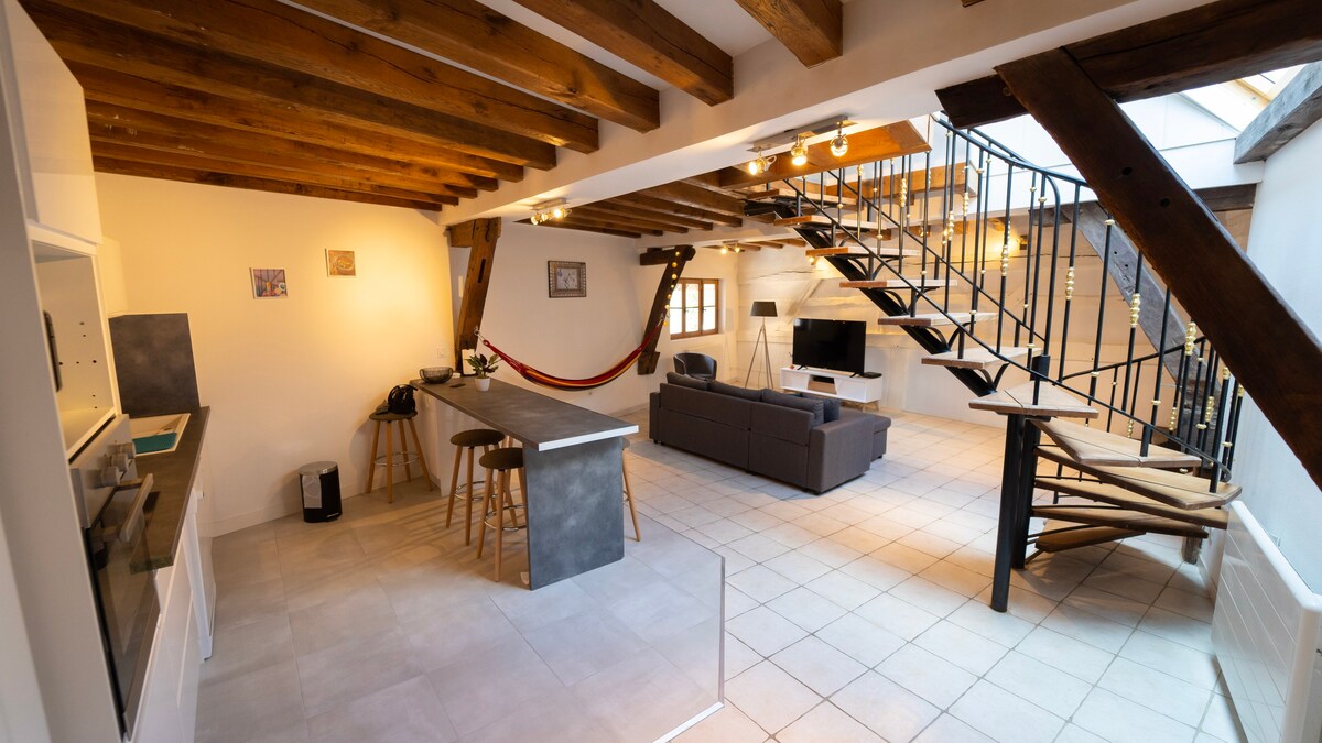 Charming 90m² apartment in the bouchon of Troyes