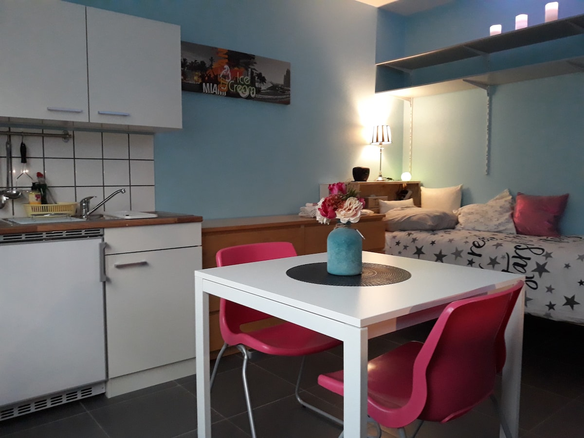 带办公桌和厨房的舒适单间公寓。