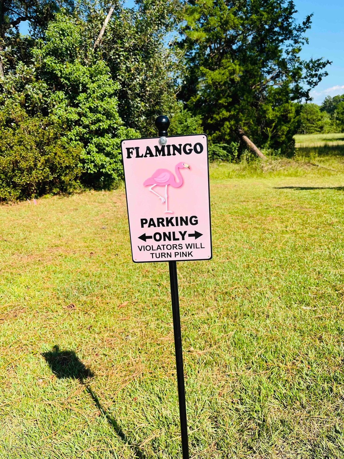 Flamingo Room