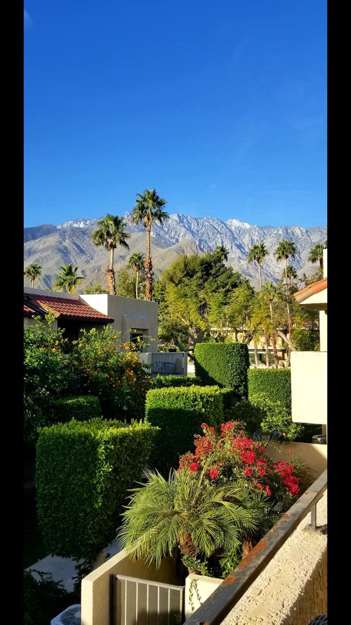 Palm Springs Mt View Retreat