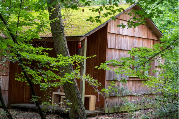 OCHYS Waldfreizeitpark Kreuzstetten (Kreuzstetten), Gemütliche Zweibetthütte mitten im Wald