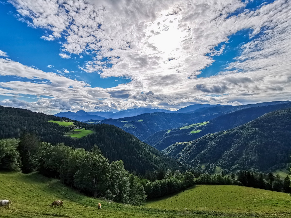 全景玻璃露台小屋，可欣赏天堂般的美景