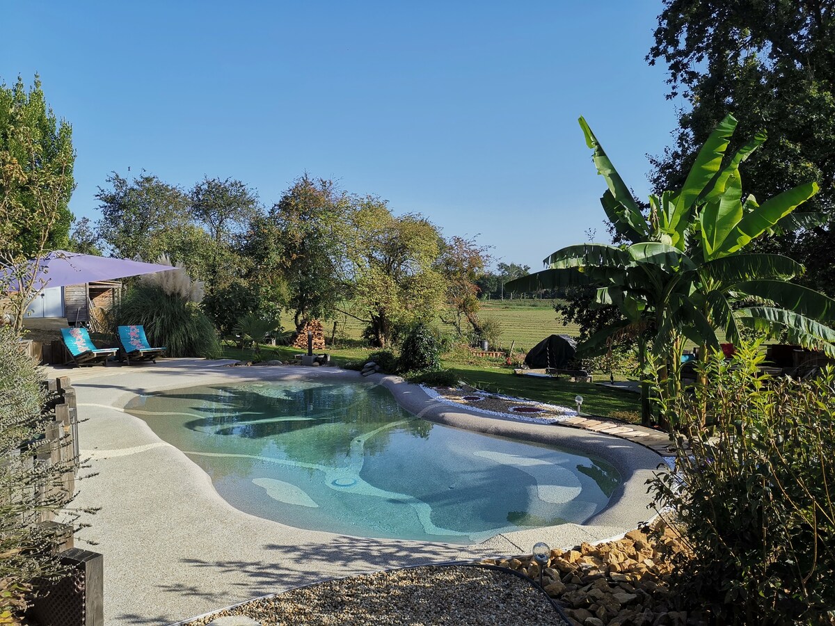 Dombes和Lagoon of the Dombes